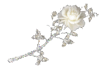 1892196se1d73ixp0 (213x137, 17Kb)