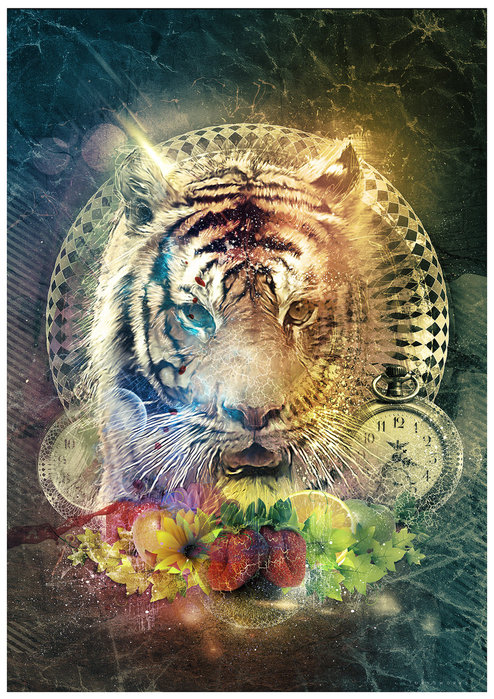 fotolia_stock_project_entry_by_turk1672-d3c7qzk (494x700, 163Kb)