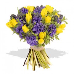 1-blue_hyacinth_yellow_tulips-250x250 (250x250, 18Kb)