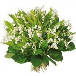 bouquet-convallaria-30-250x250 (250x250, 20Kb)