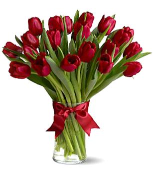 tulip_19_red______ (307x358, 16Kb)