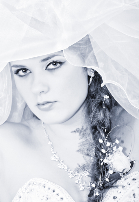 DSC_0156-2 (481x700, 272Kb)