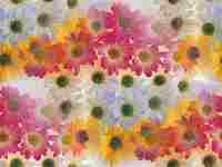 0a19c77702892e72a9c05a1b7141a180 (200x150, 3Kb)
