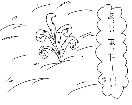 23211419_p24 (540x432, 45Kb)