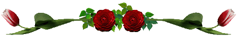 4692251_0_68660_5bca7b35_L_1_ (480x75, 9Kb)