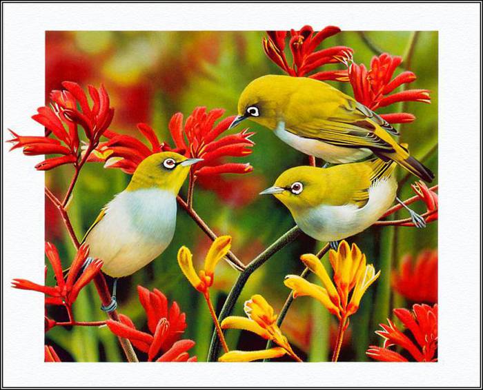 c90f39662bf03dd91603c27cf938a5f7bc81d6108323604 (700x566, 65Kb)