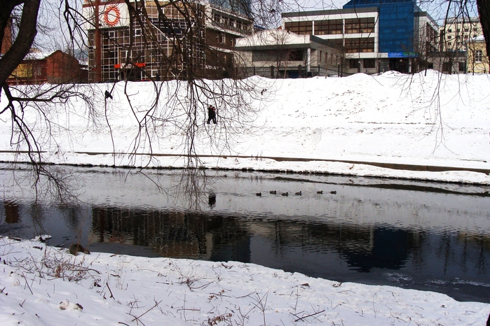 DSC03342 (700x466, 318Kb)