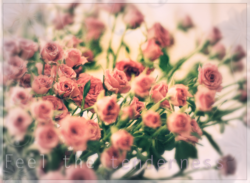2620530_tumblr_ltlxdutz4oldoljde1qev05ao1_500 (500x366, 294Kb)