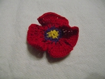  DSCF0132 (700x525, 256Kb)