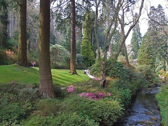 Bodnant-Garden-16 (640x480, 160Kb)