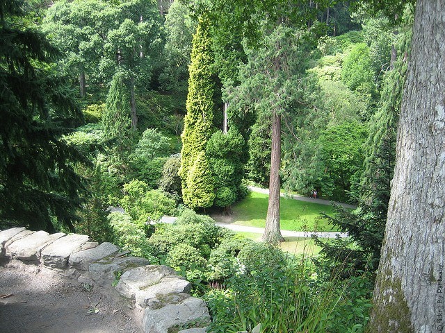 Bodnant-Garden-5 (640x480, 167Kb)