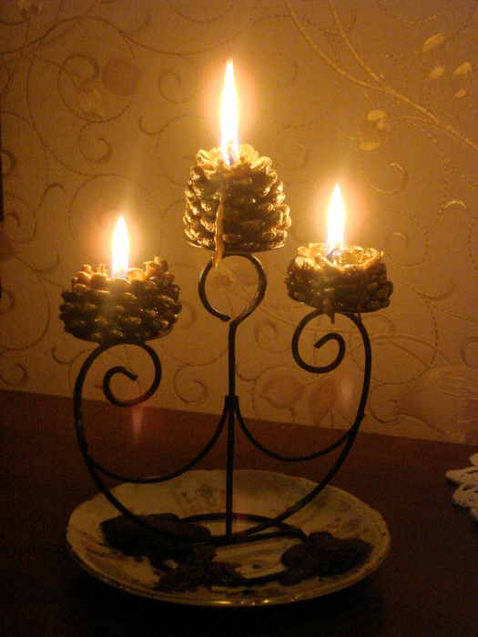 DSC03633 (525x700, 195Kb)