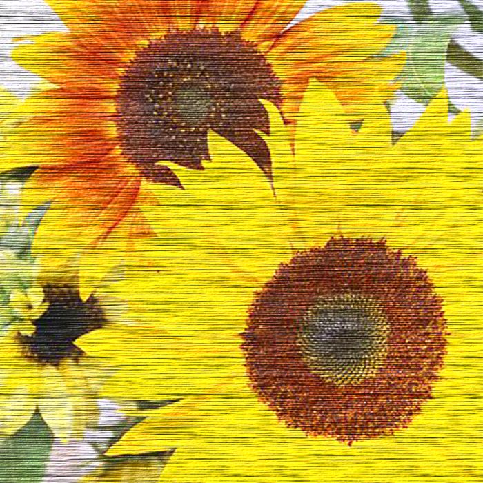 sunflower paper (700x700, 1072Kb)