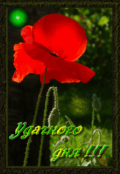 7a80971ca3dd (486x700, 1203Kb)