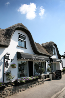 shop_front (260x388, 86Kb)