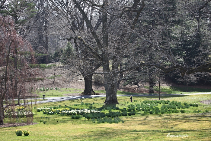 1109989_1IMG_2841 (700x466, 343Kb)