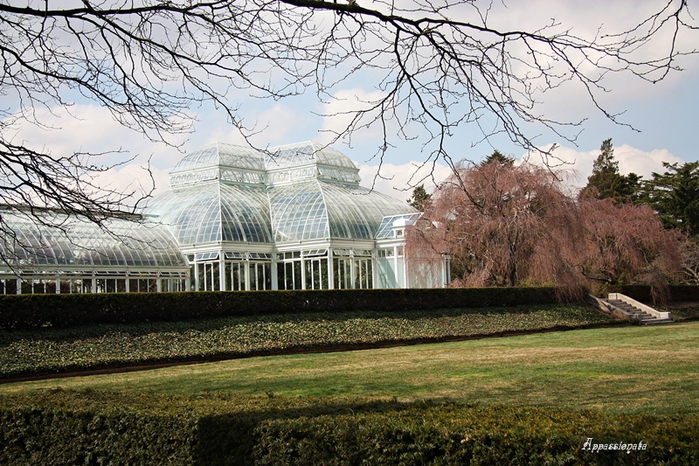 1109989_1IMG_2535 (700x466, 340Kb)