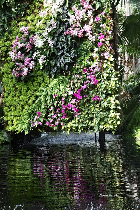 1109989_1IMG_2548 (466x700, 386Kb)