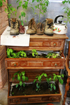  Recycled-chest-of-drawers-boots-kettle_rect540 (360x540, 278Kb)