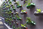  vertical-garden-bottles-01 (468x312, 134Kb)