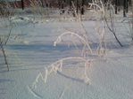  IMG159-01 (700x525, 336Kb)