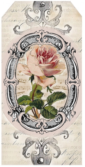 French Rose tag (358x700, 224Kb)