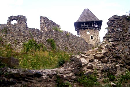 3869930_nevickij_zamok_3 (450x300, 41Kb)