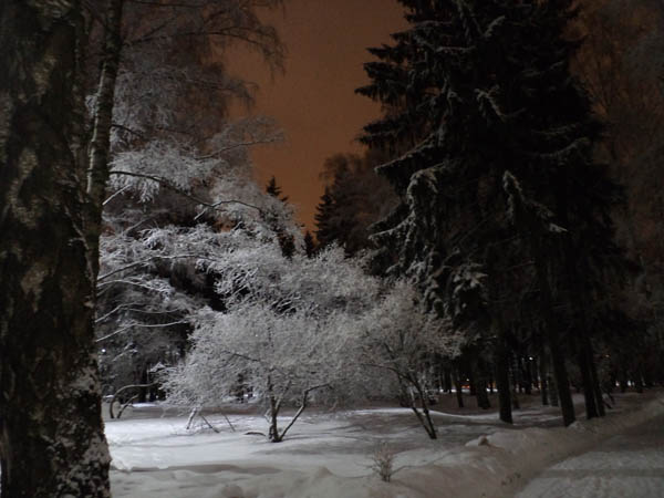 DSC01662 (600x450, 61Kb)