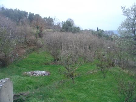 DSC07671 (448x336, 31Kb)