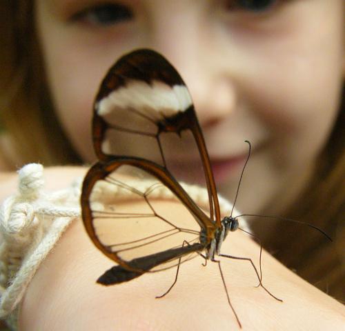 tumblr_lflh795d7g1qd4vugo1_500 (500x480, 25Kb)