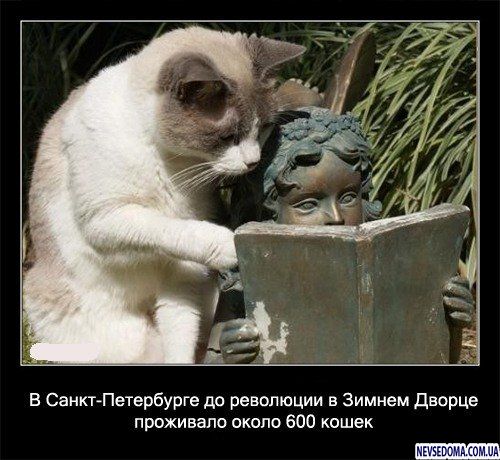 4721164_77295716_4493200_6aa3bf82 (500x460, 51Kb)