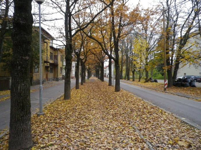 IMGP2275 (700x525, 381Kb)