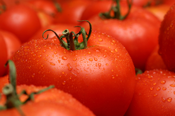 tomato (600x399, 178Kb)