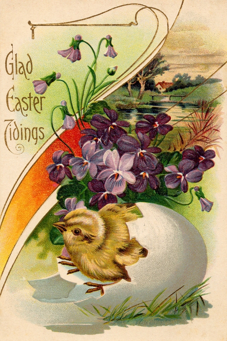 2795685_1307231295_easter_141_www_nevsepic_com_ua (466x700, 336Kb)