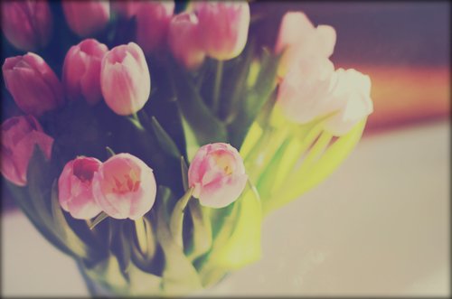 2620530_tumblr_m1i5z50EM51qlluv (500x331, 126Kb)