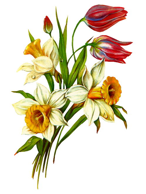 1195635167_0lik.ru_buket_144 (498x660, 62Kb)