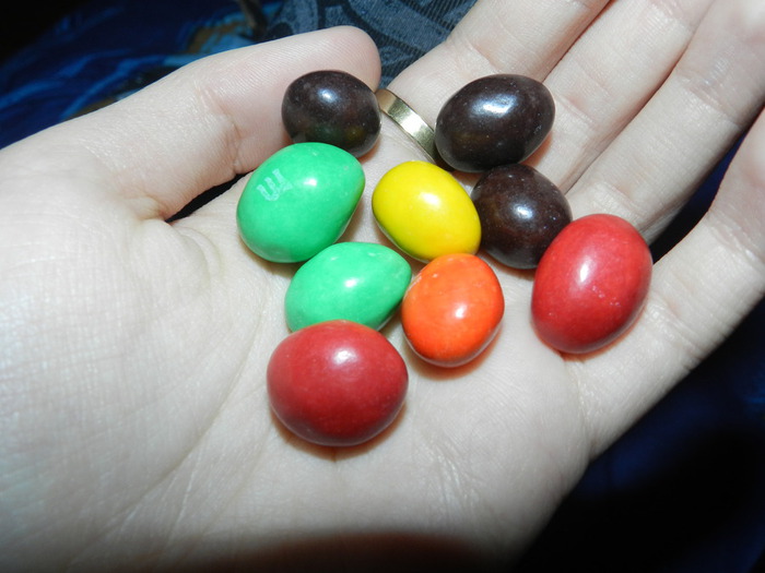 DSCN0575 (700x525, 82Kb)