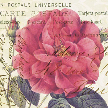 PS2013~Carte-Postale-Rose-I-Posters (350x350, 46Kb)