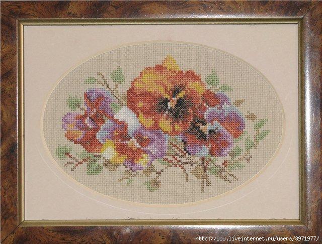 3971977_ZR_B016_Buttonhole_with_pansy (640x486, 194Kb)