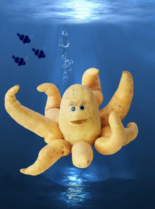 potatoctopus (518x700, 327Kb)