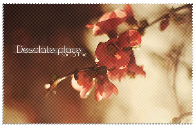 1332285648_0356 (672x445, 568Kb)