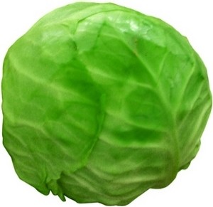 4639107_cabbage7 (300x291, 18Kb)