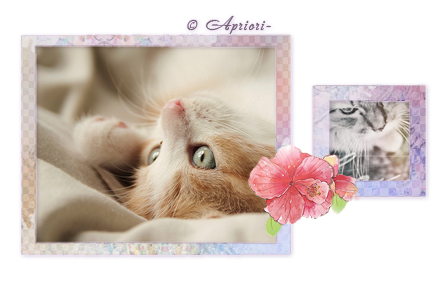 1333393469_Preview_spring (448x290, 160Kb)