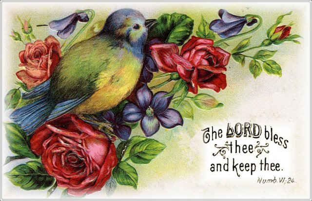 bird with scripture (640x413, 86Kb)