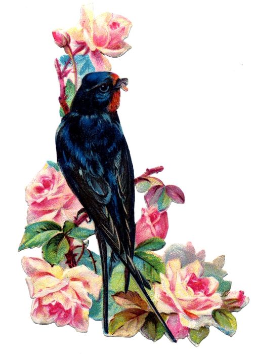 birds and flowers vintage image graphicsfairy4b (504x700, 185Kb)