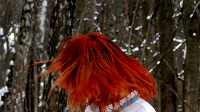 DSC06895 (700x393, 215Kb)