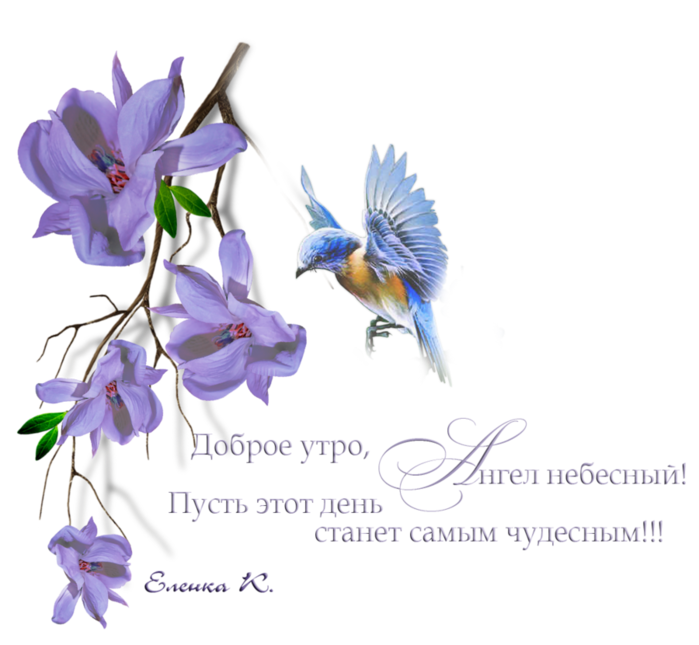 Thank morning. Доброе утро спасибо. Доброе утро с благодарностью. Благодарность за пожелание доброго утра. Открытка благодарности и добрым утром.