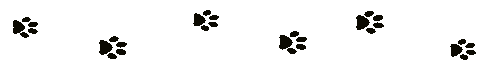  (485x69, 0Kb)