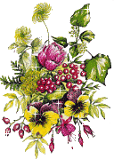 33baeab1e310982a0dfe24793bf6e03a (225x195, 24Kb)/3242145_cvety19 (128x179, 30Kb)