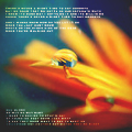 17 (120x120, 37Kb)